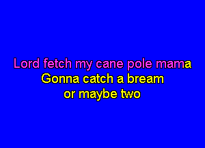 Lord fetch my cane pole mama

Gonna catch a bream
or maybe two