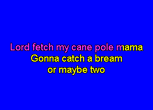 Lord fetch my cane pole mama

Gonna catch a bream
or maybe two