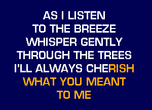 13.3 I LISTEN
TO THE BREEZE
WHISPER GENTLY
THROUGH THE TREES
I'LL ALWAYS CHERISH
WHAT YOU MEANT
TO ME