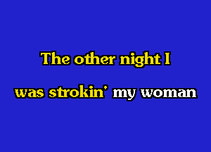 The other night I

was strokin' my woman