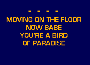 MOVING ON THE FLOOR
NOW BABE
YOU'RE A BIRD
0F PARADISE