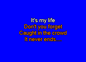 It's my life
Don't you forget

Caught in the crowd
ltneverendsun