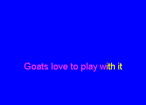Goats love to play with it