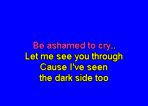 Be ashamed to cry..

Let me see you through
Cause I've seen
the dark side too