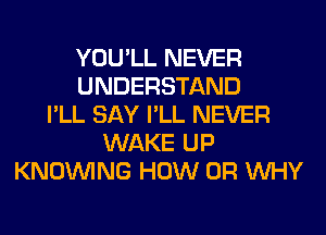 YOU'LL NEVER
UNDERSTAND
I'LL SAY I'LL NEVER
WAKE UP
KNOUVING HOW 0R WHY