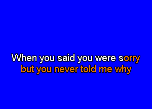 When you said you were sorry
but you never told me why