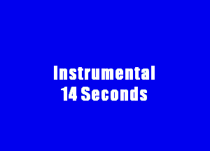 Instrumental

14! Seconds