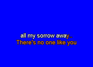 all my sorrow away..
There's no one like you