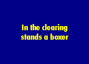 In the clearing

stands a boxer