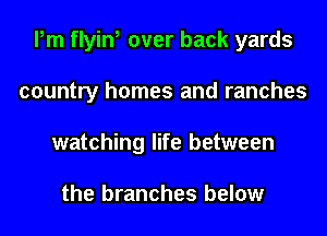 Pm flyin, over back yards
country homes and ranches
watching life between

the branches below