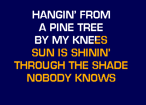 HANGIN' FROM
A PINE TREE
BY MY KNEES
SUN IS SHINIM
THROUGH THE SHADE
NOBODY KNOWS