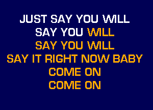 JUST SAY YOU WILL
SAY YOU WILL
SAY YOU WILL
SAY IT RIGHT NOW BABY
COME ON
COME ON