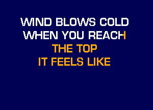 WIND BLOWS COLD
WHEN YOU REACH
THE TOP
IT FEELS LIKE