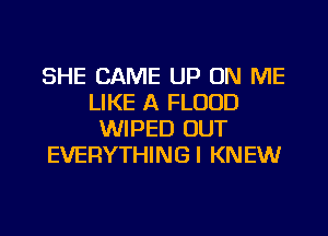 SHE CAME UP ON ME
LIKE A FLOOD
WIPED OUT
EVERYTHINGI KNEW