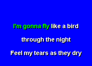 I'm gonna fly like a bird

through the night

Feel my tears as they dry