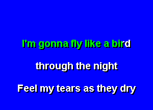 I'm gonna fly like a bird

through the night

Feel my tears as they dry