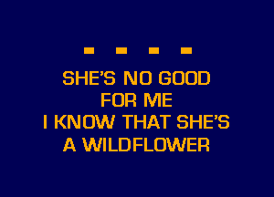 SHE'S NO GOOD

FOR ME
I KNOW THAT SHE'S

A WILDFLOWER