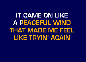 IT GAME ON LIKE
A PEACEFUL WIND
THAT MADE ME FEEL
LIKE TRYIN' AGAIN