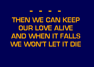 THEN WE CAN KEEP
OUR LOVE ALIVE
AND WHEN IT FALLS
WE WON'T LET IT DIE