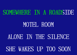 SOMEWHERE IN A ROADSIDE
MOTEL ROOM
ALONE IN THE SILENCE
SHE WAKES UP TOO SOON