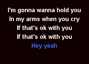 I'm gonna wanna hold you
In my arms when you cry
If that's ok with you

If that's ok with you