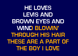 HE LOVES
LEVIS AND
BROWN EYES AND
WIND BLOUVIN'
THROUGH HIS HAIR
THESE ARE A PART OF
THE BOY I LOVE