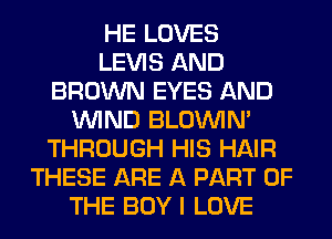 HE LOVES
LEVIS AND
BROWN EYES AND
WIND BLOUVIN'
THROUGH HIS HAIR
THESE ARE A PART OF
THE BOY I LOVE