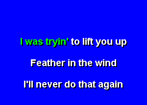 I was tryin' to lift you up

Feather in the wind

I'll never do that again