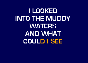 l LOOKED
INTO THE MUDDY
WATERS

AND WHAT
COULD I SEE