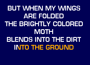 BUT WHEN MY WINGS
ARE FOLDED
THE BRIGHTLY COLORED
MOTH
BLENDS INTO THE DIRT
INTO THE GROUND