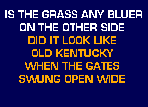IS THE GRASS ANY BLUER
ON THE OTHER SIDE
DID IT LOOK LIKE
OLD KENTUCKY
WHEN THE GATES
SWUNG OPEN WIDE