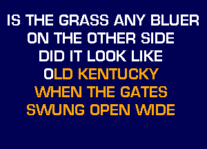 IS THE GRASS ANY BLUER
ON THE OTHER SIDE
DID IT LOOK LIKE
OLD KENTUCKY
WHEN THE GATES
SWUNG OPEN WIDE