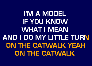 I'M A MODEL
IF YOU KNOW
WHAT I MEAN
AND I DO MY LITI'LE TURN
ON THE CATWALK YEAH
ON THE CATWALK