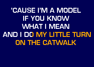 'CAUSE I'M A MODEL
IF YOU KNOW
WHAT I MEAN
AND I DO MY LITI'LE TURN
ON THE CATWALK