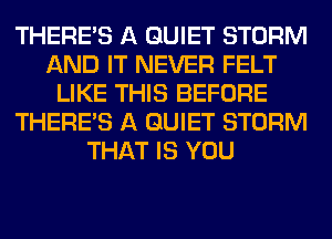 THERE'S A QUIET STORM
AND IT NEVER FELT
LIKE THIS BEFORE
THERE'S A QUIET STORM
THAT IS YOU