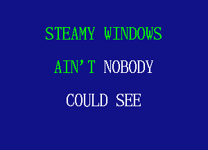 STEAMY WINDOWS
AIN T NOBODY

COULD SEE