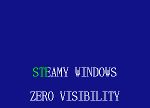 STEAMY WINDOWS

ZERO VISIBILITY l