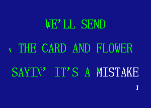 WE LL SEND
u THE CARD AND FLOWER

SAYIN IT S A MISTAKE

I