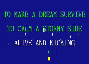 TO MAKE A DREAM SURVIVE
T0 CALM A STORMY SIDE
K I J T
J ALIVE AND KICKING

( '1
ll