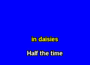 in daisies

Half the time