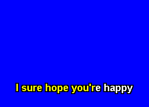 I sure hope you're happy