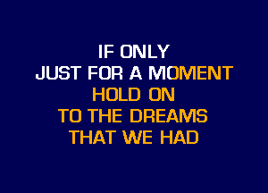 IF ONLY
JUST FOR A MOMENT
HOLD ON

TO THE DREAMS
THAT WE HAD