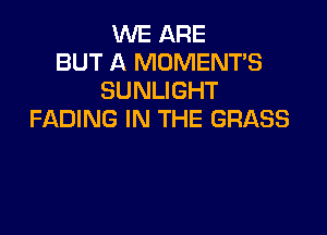WE ARE
BUT A MOMENT'S
SUNLIGHT

FADING IN THE GRASS