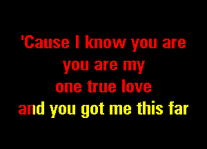 'Cause I know you are
you are my

one true love
and you got me this far