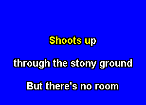 Shoots up

through the stony ground

But there's no room