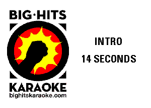 BIG-HITS
P' V

INTRO
14 SECONDS

KARAOKE

bighitskaraokecom