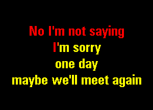 No I'm not saying
I'm sorry

one day
maybe we'll meet again