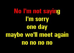 No I'm not saying
I'm sorry

one day
maybe we'll meet again
no no no no