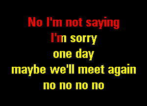 No I'm not saying
I'm sorry

one day
maybe we'll meet again
no no no no