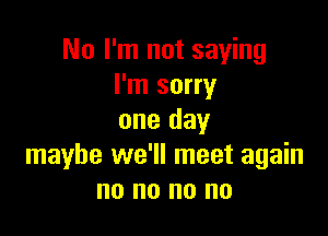 No I'm not saying
I'm sorry

one day
maybe we'll meet again
no no no no